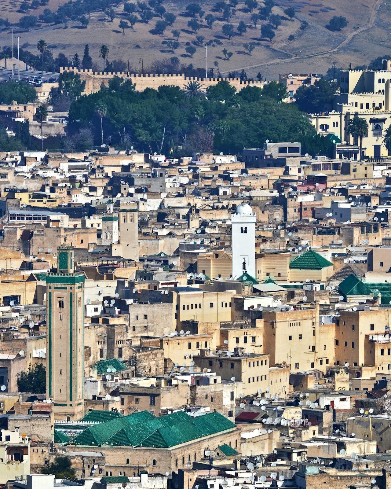 pexels mographe 30398385 e1754493483961